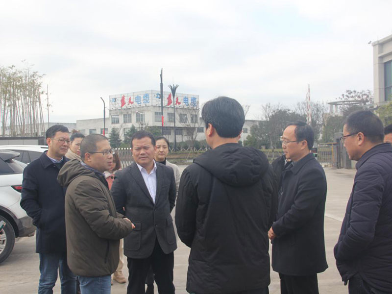 2019年2月19号，王新峰市长一行领导莅临指导